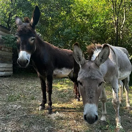 Les Tetes De Mules - Adults Only Отель типа 